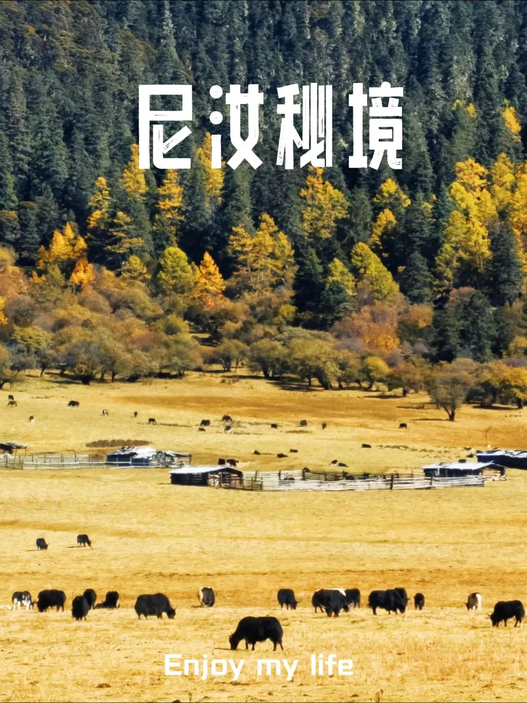 香格里拉尼汝秘境徒步_1_飞阅山河_云南-香格里拉-来自52tours 我爱旅游网